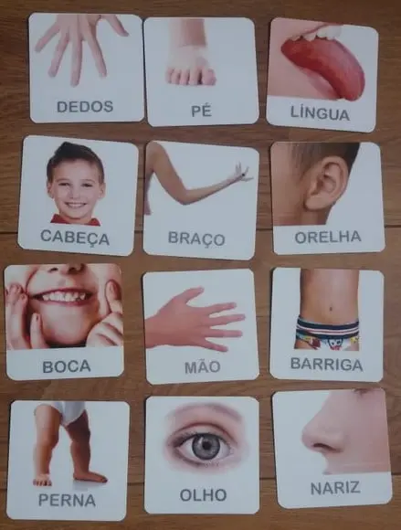 Kit 12 Flashcards Partes do Corpo Humano