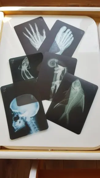Kit 12 flashcards transparentes para mesa de luz
