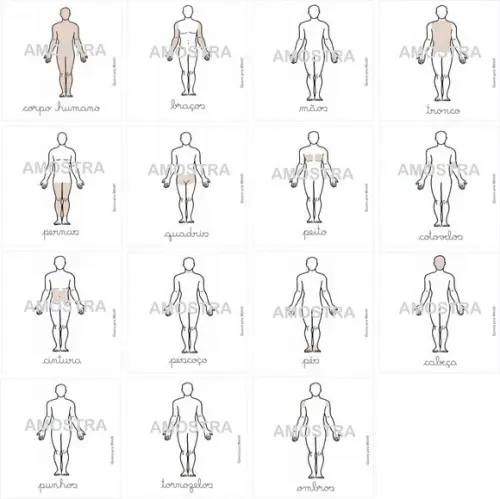 PDF 17 Flashcards Partes do Corpo Humano (montessori)