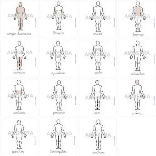 Kit 17 Flashcards Partes do Corpo Humano (montessori)