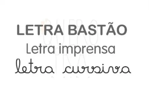 Kit 17 Flashcards Partes do Corpo Humano (montessori)