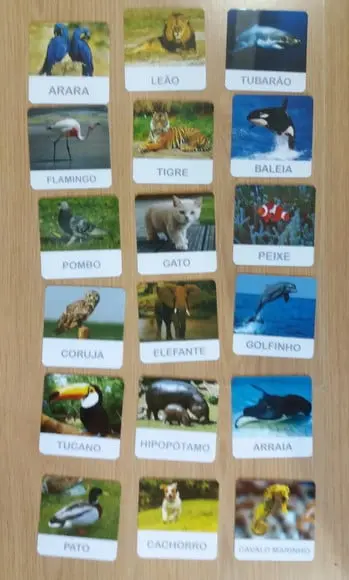 Kit 18 Flashcards Animais Ar, Terra e Água Montessori
