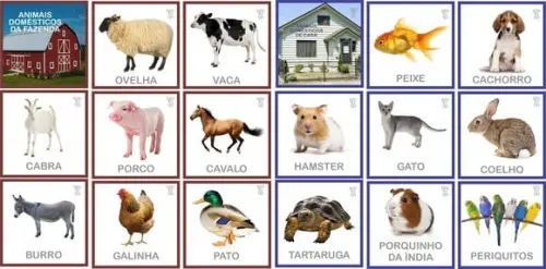 Kit 18 Flashcards Animais Domésticos de Casa e da Fazenda