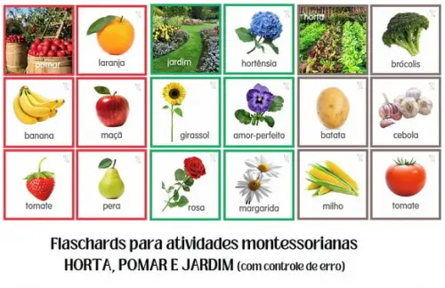 Kit 18 Flashcards Horta, Pomar e Jardim Flores Frutas