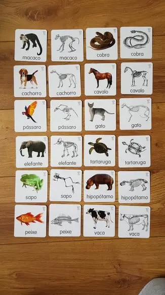 Kit 24 flashcards Animais e esqueletos pareamento montessori
