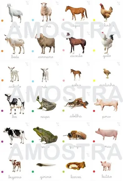 Kit 24 Flashcards Famílias de Animais Atividades Montessori