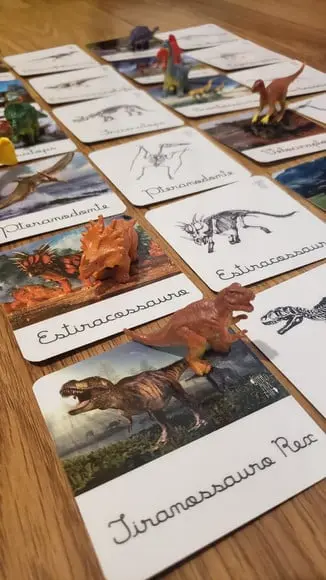 Kit 24 Flashcards Dinossauros e Seus Esqueletos