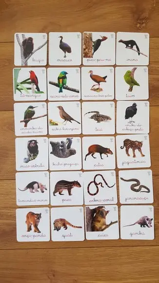 Kit 24 Flashcards Montessori Animais Mata Atlântica F/v