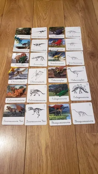 Kit 24 Flashcards Dinossauros e Seus Esqueletos