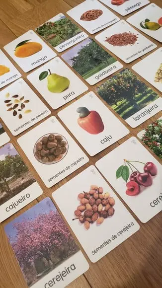 Kit 24 Flashcards Montessori Árvores Frutíferas Brasileiras