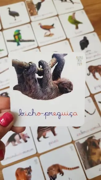 Kit 24 Flashcards Montessori Animais Mata Atlântica F/v