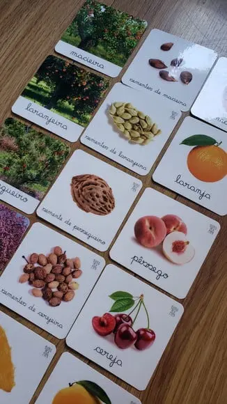 Kit 24 Flashcards Montessori Árvores Frutíferas Brasileiras