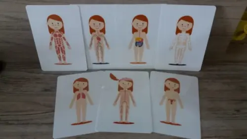 Kit 6 flashcards Corpo Humano metodo montessori