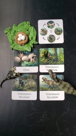 Kit Flashcards Ciclo de Vida T-rex Montessori/homeschool
