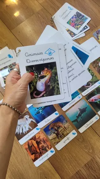 Kit Flashcards com Controle de Erro - Reprodução dos Animais
