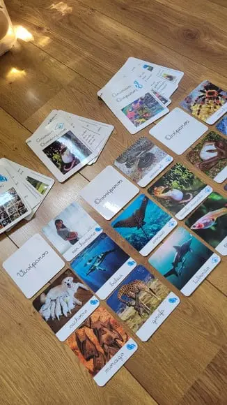 Kit Flashcards com Controle de Erro - Reprodução dos Animais