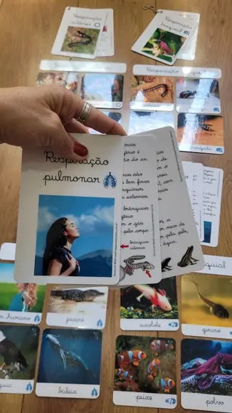Kit Flashcards com Controle de Erro - Respiração dos Animais
