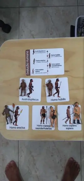 Kit Flashcards Evolução do Homem Montessori/homeschool