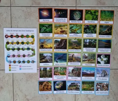 Kit Flashcards Montessori Linha do Tempo Surgimento Terra