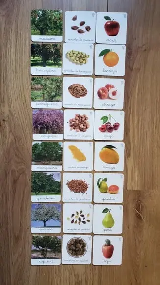 PDF 24 Flashcards Árvores Frutíferas (arquivo Digital)