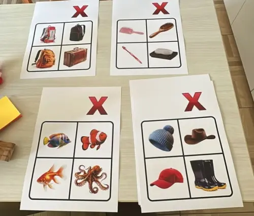 PDF Atividade Pedagógica Jogo Pertence x Não Pertence