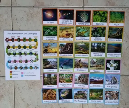 PDF Flashcards Linha do Tempo Vida Terra (arquivo Digital)