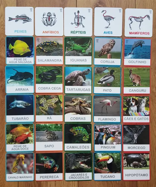 PDF com 30 flashcards Classificação de Animais vertebrados - Arquivo digital