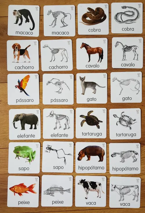 PDF 24 flashcards Animais e esqueletos pareamento montessori - Arquivo digital