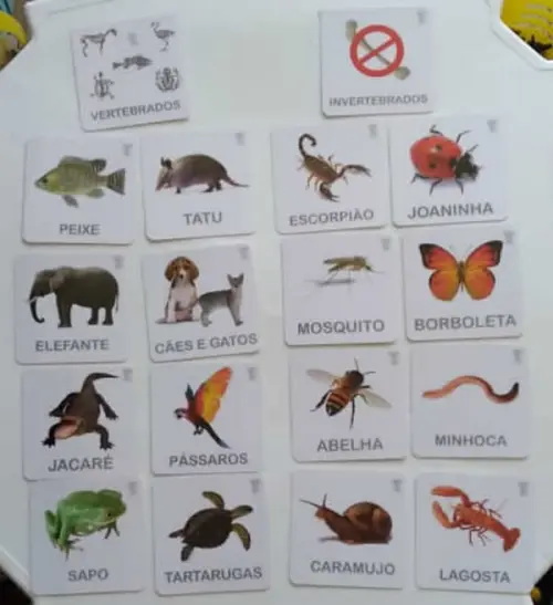 PDF com 18 flashcards Animais Vertebrados x Invertebrados - Arquivo digital