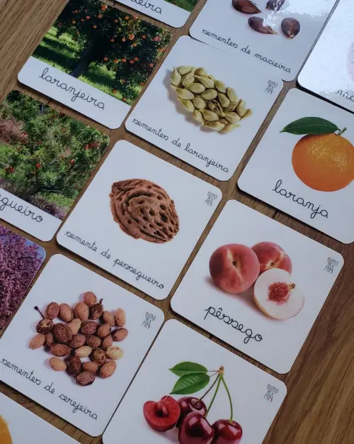 PDF 24 Flashcards Árvores Frutíferas (arquivo Digital)