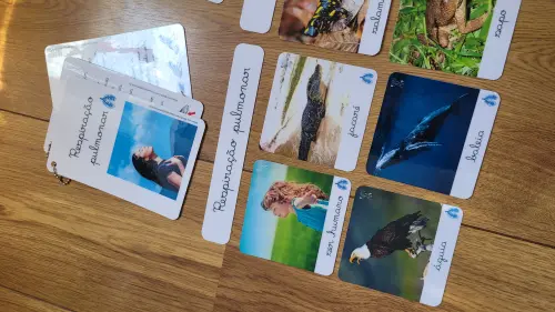 PDF Flashcards Respiração dos Animais com caderno de informaç?