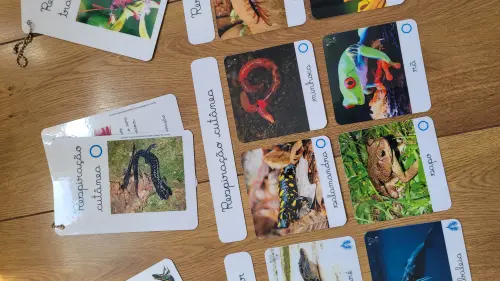 PDF Flashcards Respiração dos Animais com caderno de informações - digital pronto pra imprimir