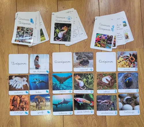 PDF Flashcards Reprodução dos Animais com caderno de informações - arquivo digital pronto pra imprimir