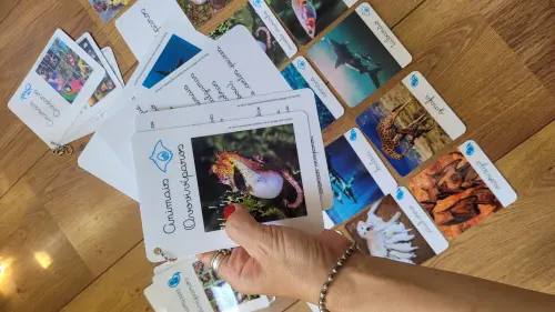 PDF Flashcards Reprodução dos Animais com caderno de informaç?
