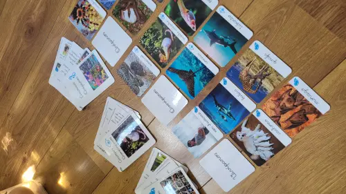 PDF Flashcards Reprodução dos Animais com caderno de informaç?
