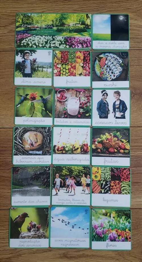 Kit 11 Flashcards Primavera - Estações do Ano - Montessori