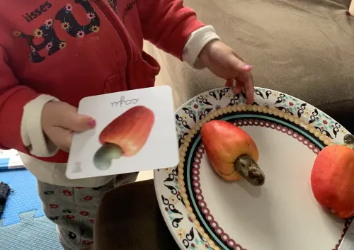 Kit 18 Flashcards Frutas