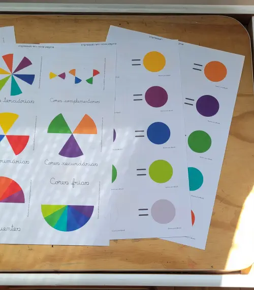 Kit Flashcards Teoria e Disco das Cores para Crianças