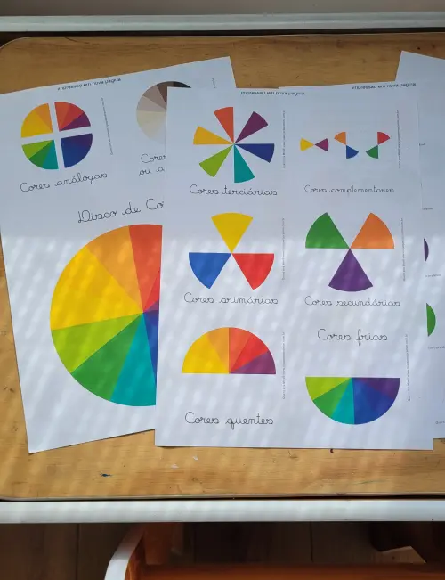 Kit Flashcards Teoria e Disco das Cores para Crianças