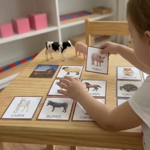 Kit 18 Flashcards Animais Domésticos de Casa e da Fazenda