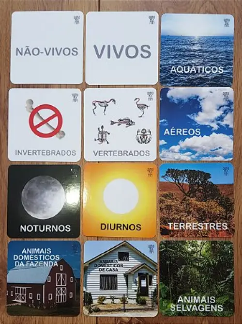 Kit 12 Flashcards com Tags p/ Classificação de Animais