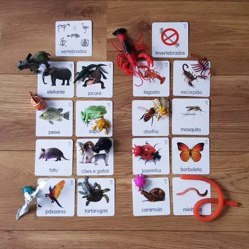 Kit 18 flashcards Animais Vertebrados x Invertebrados