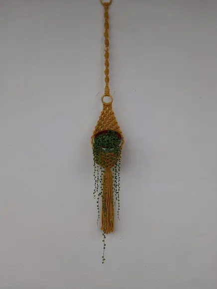 Cachepô Pendente Macramê