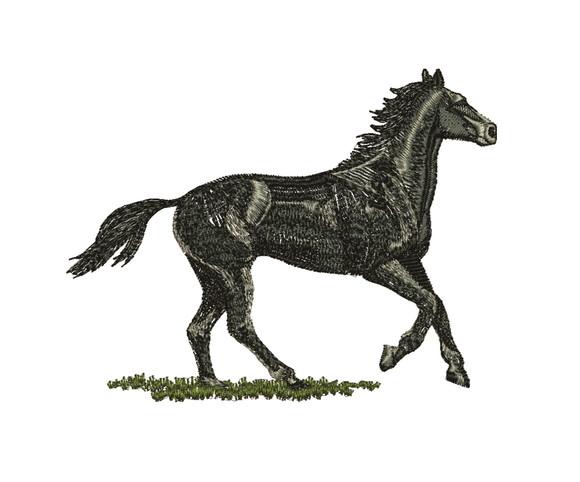 Matriz de bordado Cavalo_07