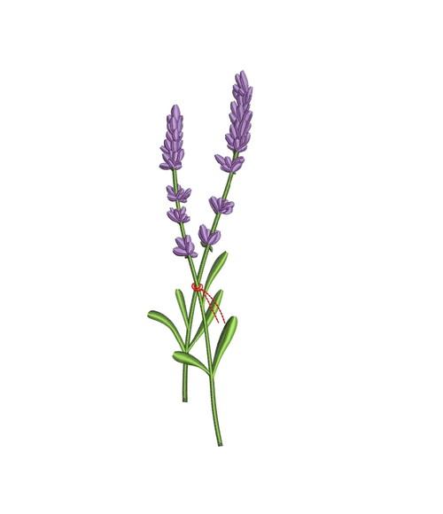 Matriz de Bordado Lavanda 07