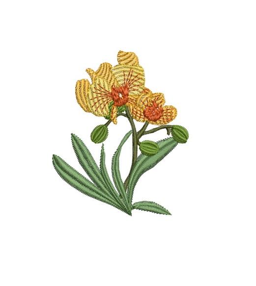 Matriz de Bordado Orquídea 01