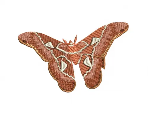 Matriz de Bordado Borboleta Mariposa Atlas Gigante