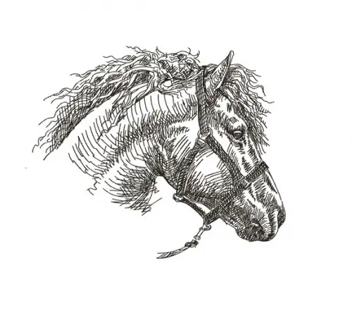 Matriz de bordado Cavalo 01