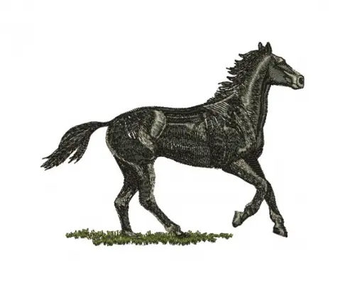 Matriz de bordado Cavalo_07