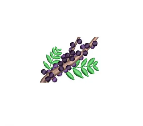Matriz de Bordado Jabuticaba 01